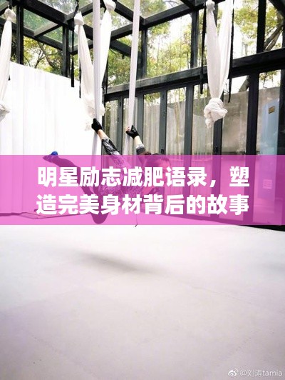 明星励志减肥语录,塑造完美身材背后的故事。