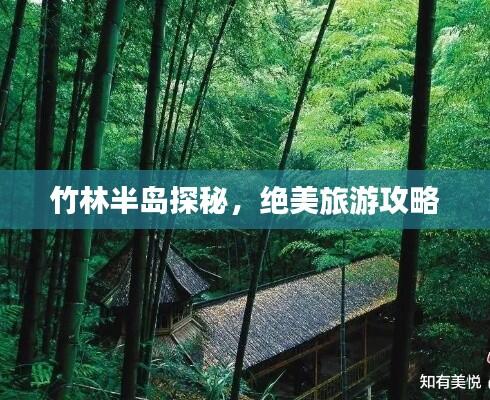 竹林半岛探秘，绝美旅游攻略