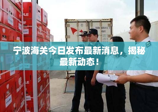 宁波海关今日发布最新消息，揭秘最新动态！