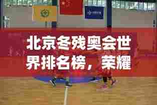 北京冬残奥会世界排名榜,荣耀与激情的体育盛宴,展现运动员风采!