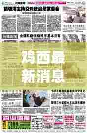 鸡西最新消息综述，今日时事新闻一览