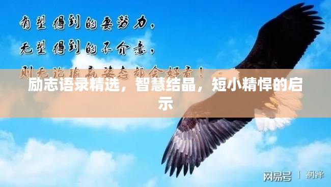 励志语录精选,智慧结晶,短小精悍的启示