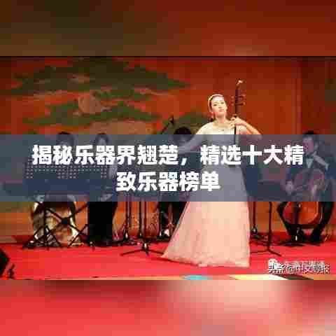 揭秘乐器界翘楚,精选十大精致乐器榜单