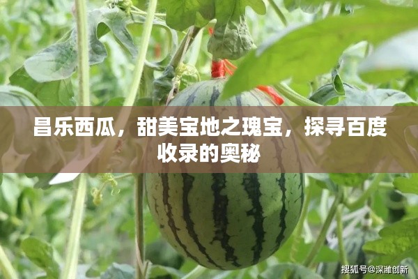 昌乐西瓜，甜美宝地之瑰宝，探寻百度收录的奥秘