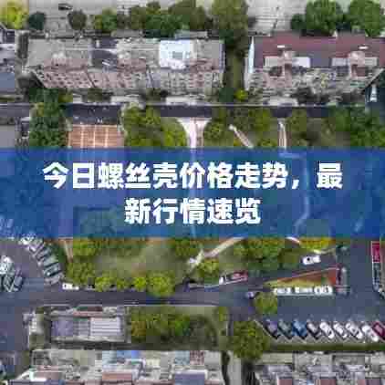 今日螺丝壳价格走势，最新行情速览