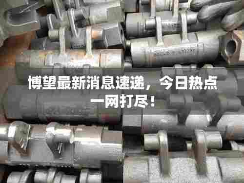 博望最新消息速递,今日热点一网打尽!