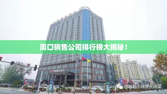 周口销售公司排行榜大揭秘！