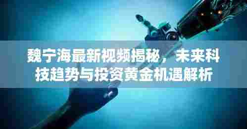 魏宁海最新视频揭秘,未来科技趋势与投资黄金机遇解析