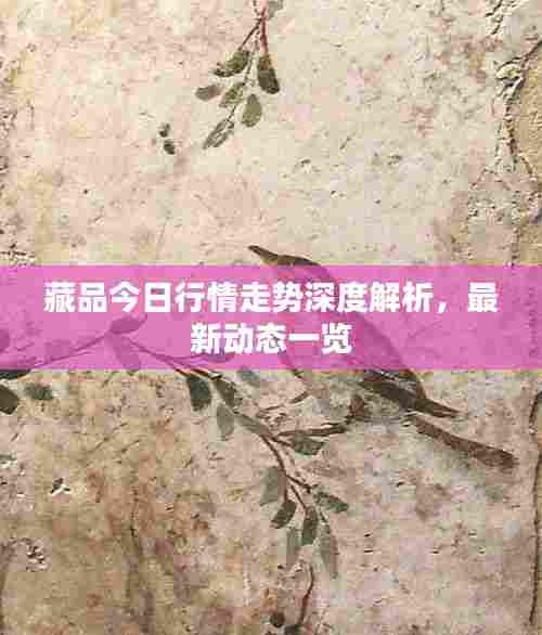 藏品今日行情走势深度解析，最新动态一览