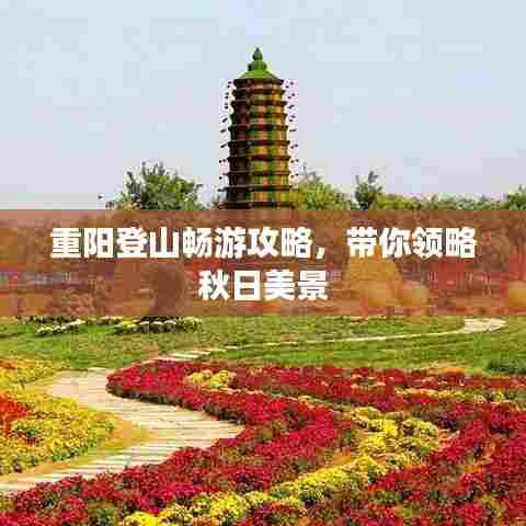 重阳登山畅游攻略,带你领略秋日美景
