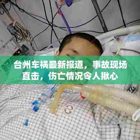 台州车祸最新报道，事故现场直击，伤亡情况令人揪心