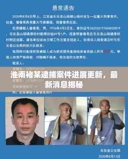 淮南褚某逮捕案件进展更新，最新消息揭秘