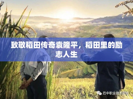 致敬稻田传奇袁隆平,稻田里的励志人生