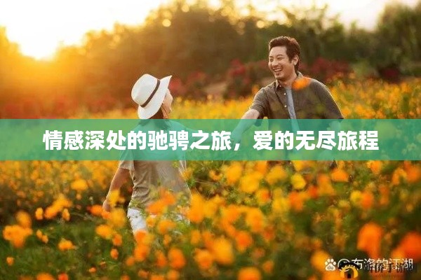 情感深处的驰骋之旅，爱的无尽旅程