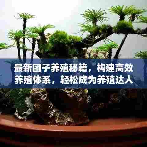 最新团子养殖秘籍，构建高效养殖体系，轻松成为养殖达人！