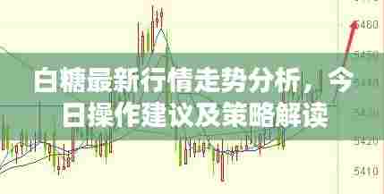 白糖最新行情走势分析,今日操作建议及策略解读