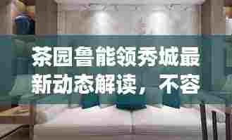 茶园鲁能领秀城最新动态解读,不容错过的通知解析