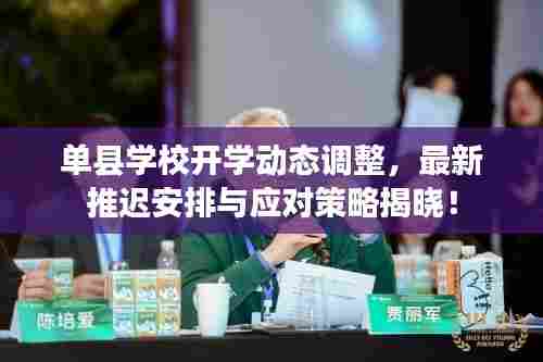 单县学校开学动态调整,最新推迟安排与应对策略揭晓!