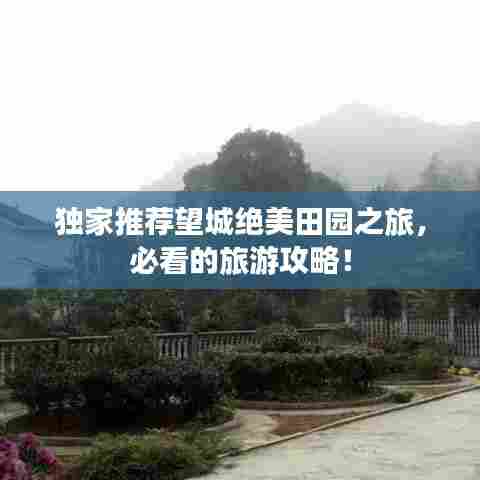 独家推荐望城绝美田园之旅,必看的旅游攻略!