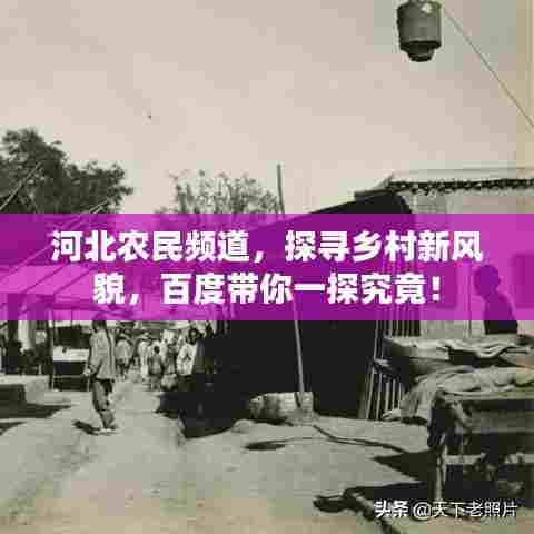 河北农民频道，探寻乡村新风貌，百度带你一探究竟！