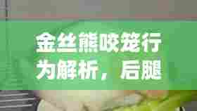 囊萤映雪 第6页