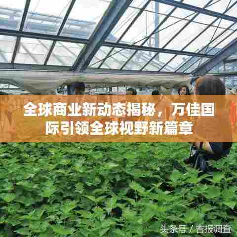全球商业新动态揭秘，万佳国际引领全球视野新篇章