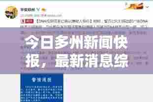 今日多州新闻快报,最新消息综述
