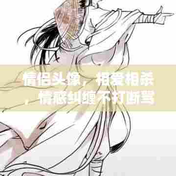 情侣头像,相爱相杀,情感纠缠不打断骂不断!