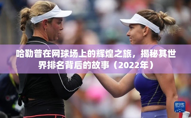 哈勒普在网球场上的辉煌之旅,揭秘其世界排名背后的故事(2022年)