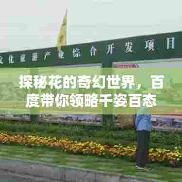 探秘花的奇幻世界，百度带你领略千姿百态的花卉图片