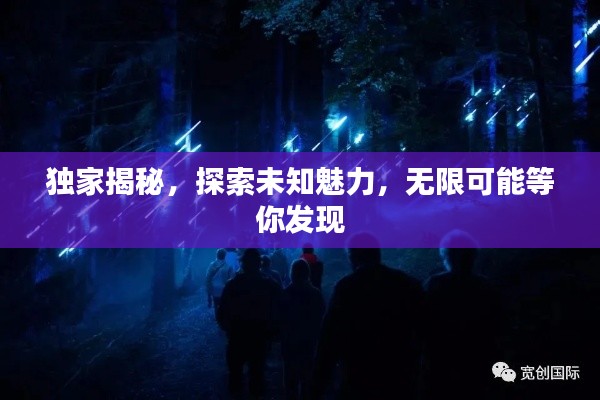 独家揭秘，探索未知魅力，无限可能等你发现