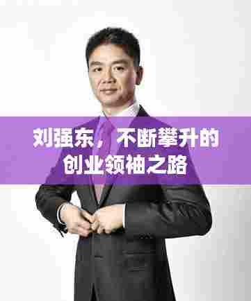 刘强东，不断攀升的创业领袖之路