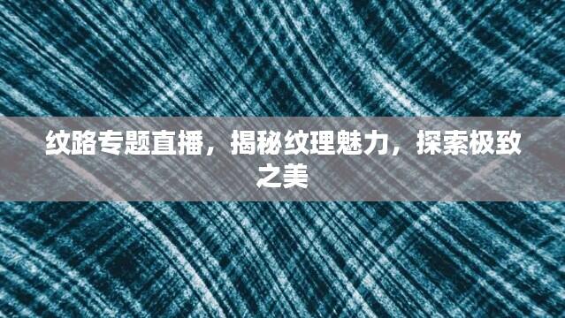 纹路专题直播，揭秘纹理魅力，探索极致之美