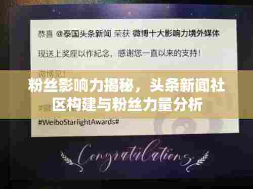粉丝影响力揭秘,头条新闻社区构建与粉丝力量分析