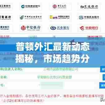 普顿外汇最新动态揭秘，市场趋势分析与交易策略洞察
