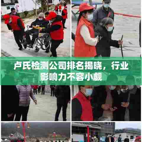 卢氏检测公司排名揭晓，行业影响力不容小觑