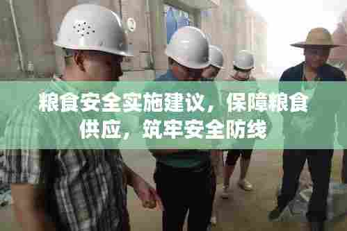 粮食安全实施建议,保障粮食供应,筑牢安全防线