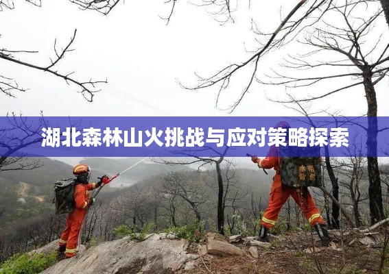 湖北森林山火挑战与应对策略探索