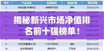 揭秘新兴市场净值排名前十强榜单！