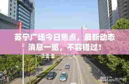苏宁广场今日焦点，最新动态消息一览，不容错过！