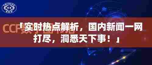 「实时热点解析，国内新闻一网打尽，洞悉天下事！」