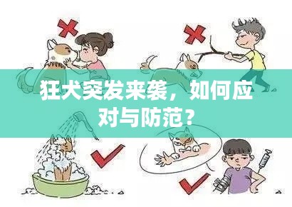 狂犬突发来袭,如何应对与防范?