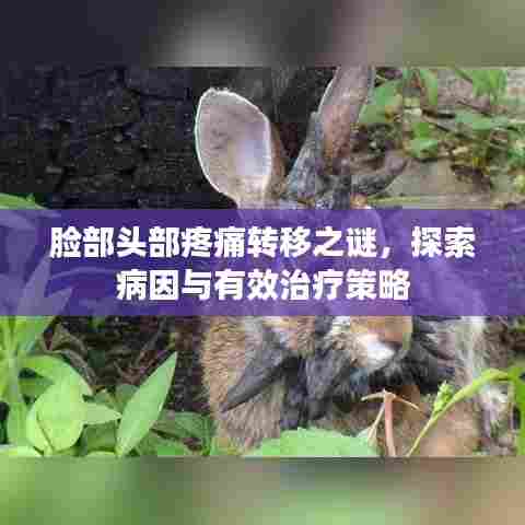 脸部头部疼痛转移之谜，探索病因与有效治疗策略