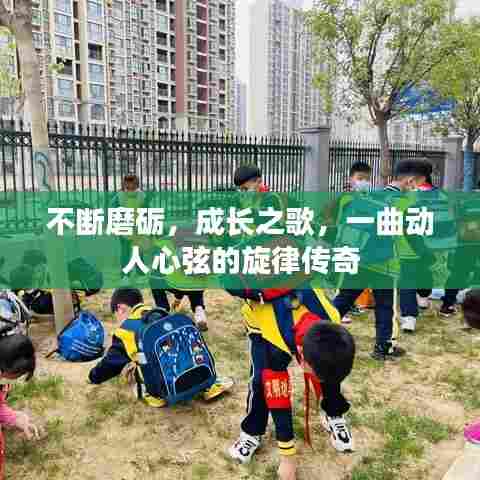 不断磨砺，成长之歌，一曲动人心弦的旋律传奇