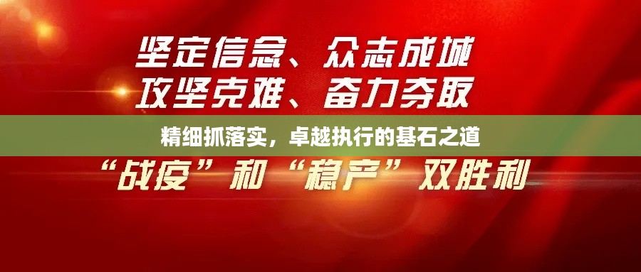 精细抓落实,卓越执行的基石之道