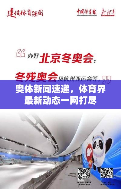 奥体新闻速递，体育界最新动态一网打尽