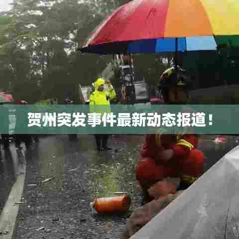 贺州突发事件最新动态报道！