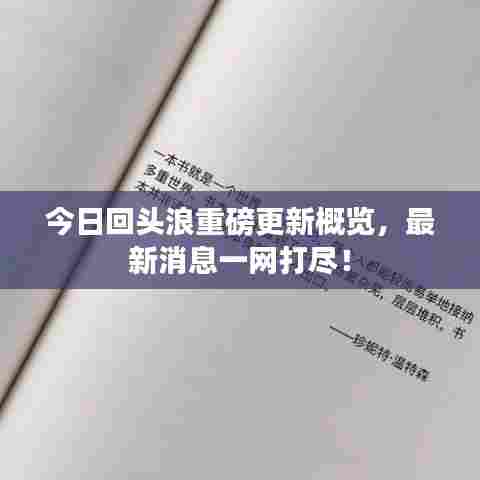 今日回头浪重磅更新概览，最新消息一网打尽！