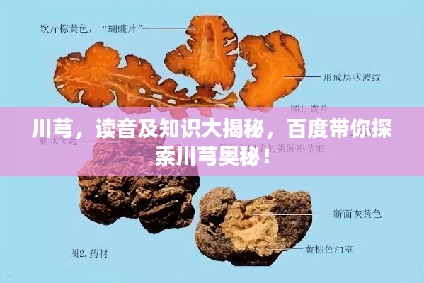 为民请命 第6页