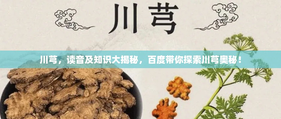 川芎,读音及知识大揭秘,百度带你探索川芎奥秘!